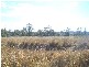 Kaimkillenbun QLD 4406