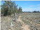 Kaimkillenbun QLD 4406