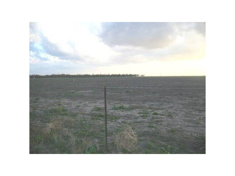 Dalby QLD 4405