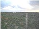 Dalby QLD 4405