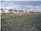 Dalby QLD 4405