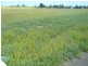 Lot/1 2 3 Maranda Court, Dalby QLD 4405