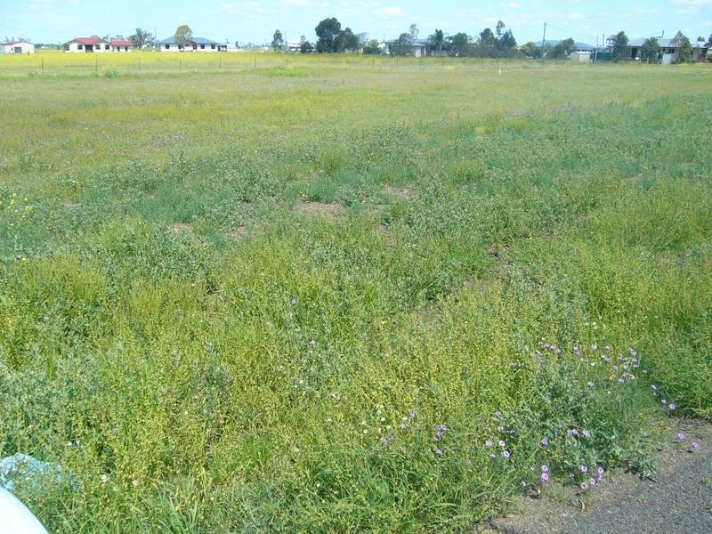 Lot/1 2 3 Maranda Court, Dalby QLD 4405