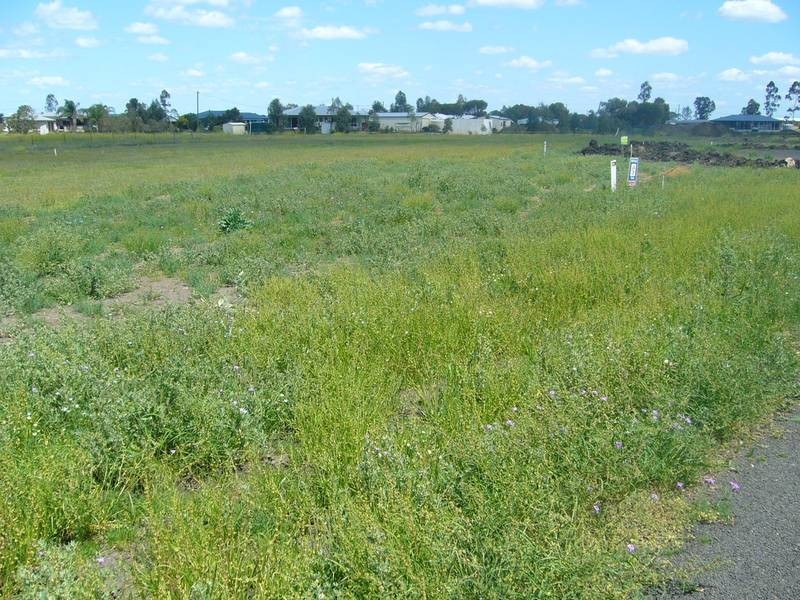 Lot/1 2 3 Maranda Court, Dalby QLD 4405