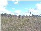 Jandowae QLD 4410