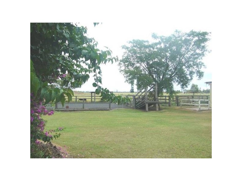 137 Sandalwood Avenue, Dalby QLD 4405