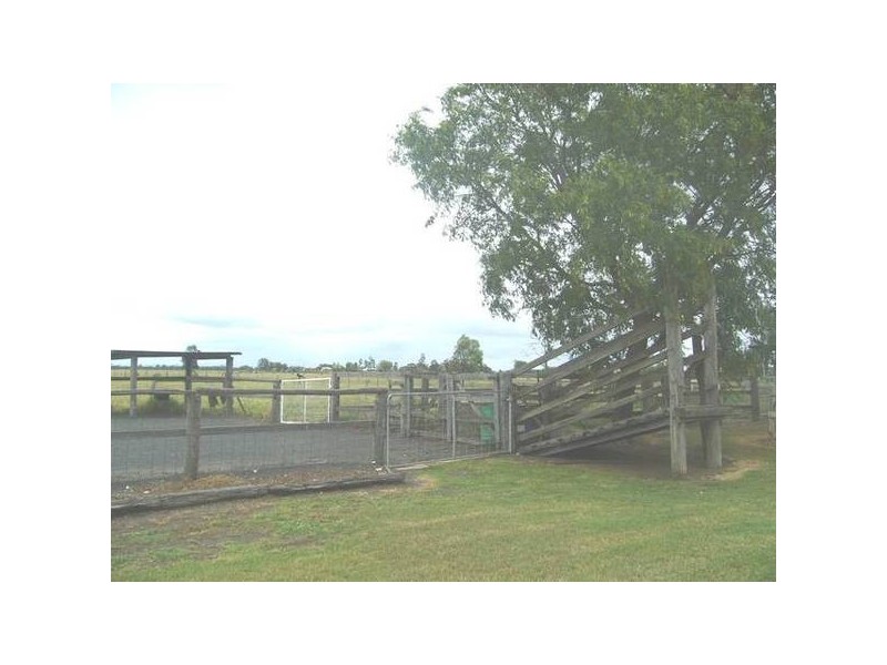 137 Sandalwood Avenue, Dalby QLD 4405