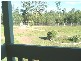 Weranga QLD 4405