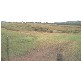 Rangemore QLD 4352