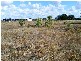 Dalby QLD 4405