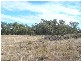 Dalby QLD 4405