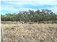 Dalby QLD 4405