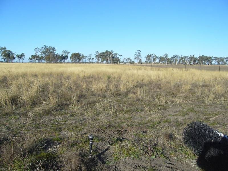 Lot 110,  Southern Cross Drive, Dalby QLD 4405