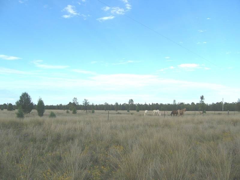 63 Redgum Rd, Dalby QLD 4405