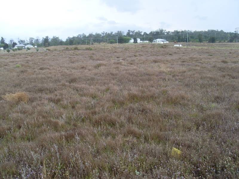 57 Wambo Drive Pirrinuan, Pirrinuan QLD 4405