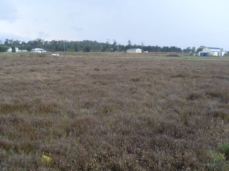 57 Wambo Drive Pirrinuan, Pirrinuan QLD 4405