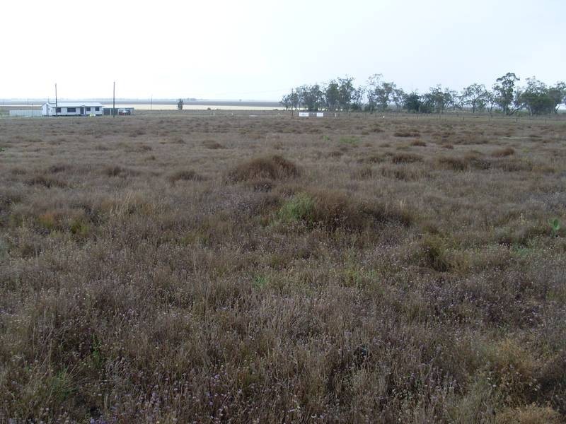 57 Wambo Drive Pirrinuan, Pirrinuan QLD 4405