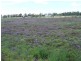 58 Wambo Dve, Pirrinuan QLD 4405