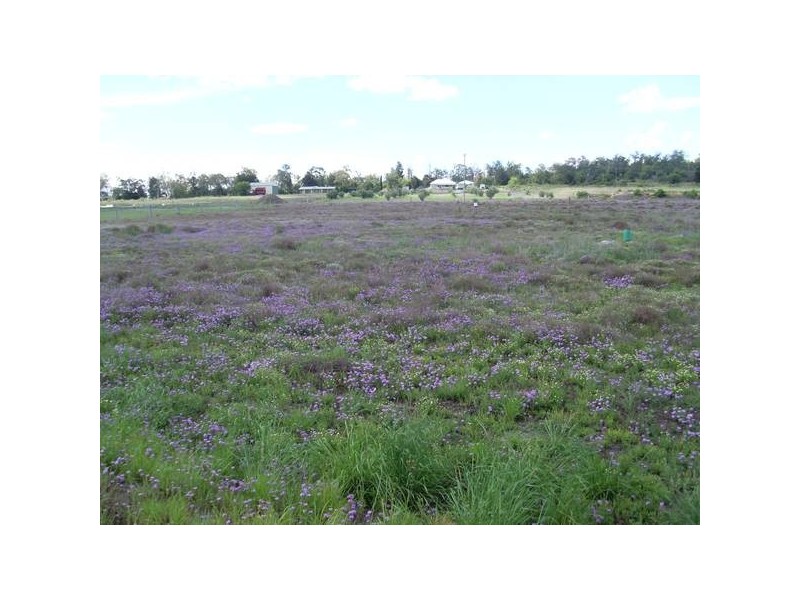 58 Wambo Dve, Pirrinuan QLD 4405