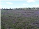 58 Wambo Dve, Pirrinuan QLD 4405