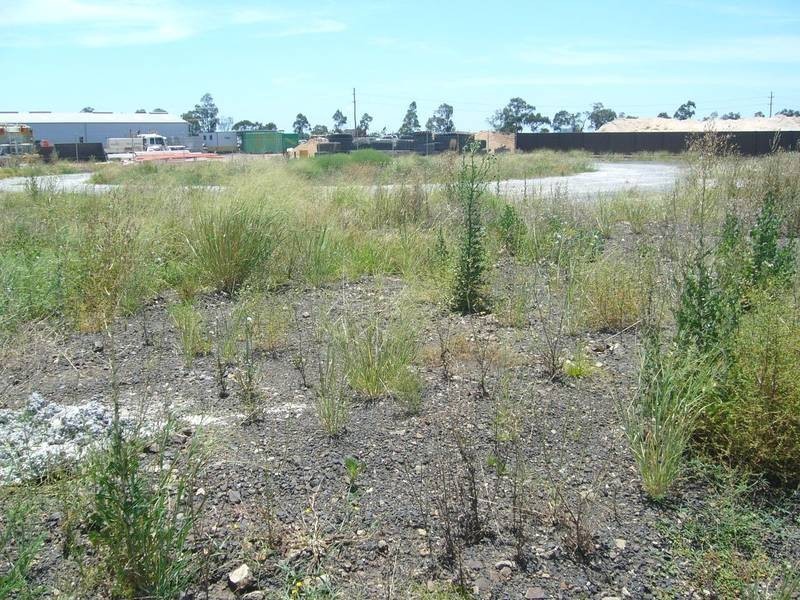 Lot 4 & 5,  Winton St, Dalby QLD 4405