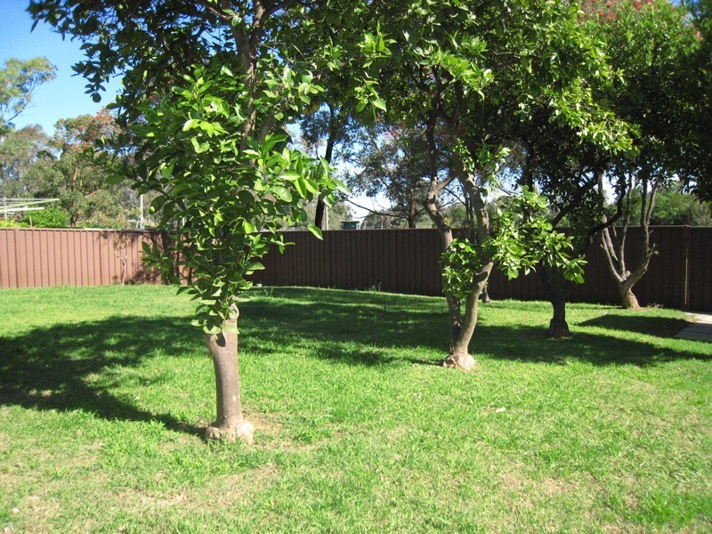 Chipping Norton NSW 2170