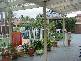 Chipping Norton NSW 2170