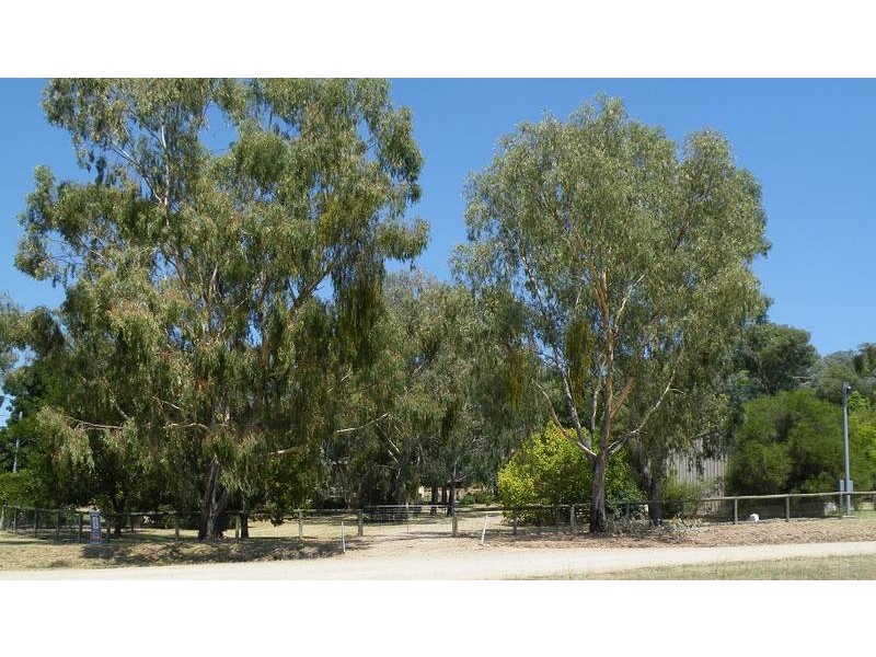 15 Breeza Street, Quirindi NSW 2343