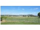 699 Kamilaroi Hwy, Quirindi NSW 2343