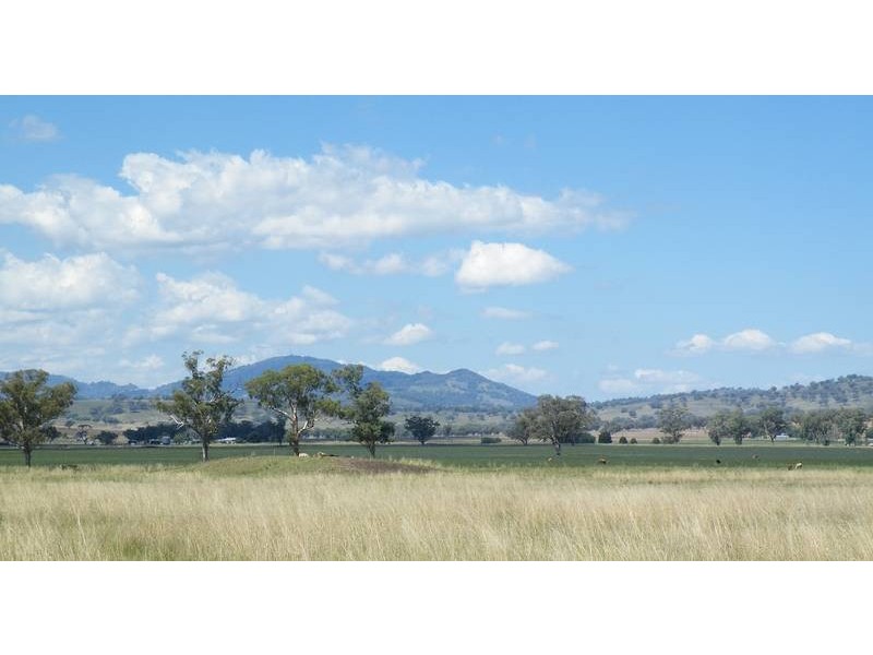 …. Warrah Creek Road, Willow Tree NSW 2339