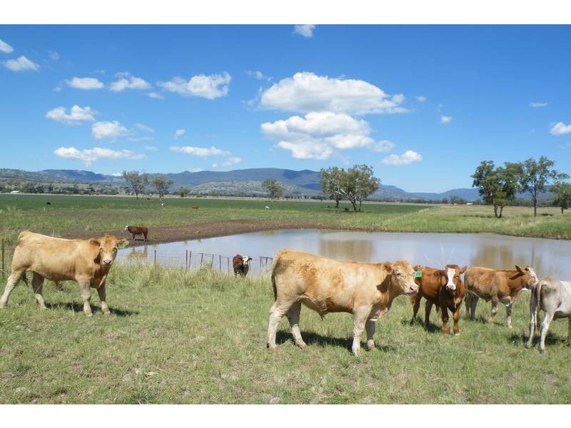 …. Warrah Creek Road, Willow Tree NSW 2339