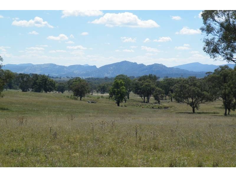 …. New England Hwy, Willow Tree NSW 2339