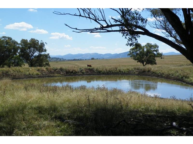 …. New England Hwy, Willow Tree NSW 2339