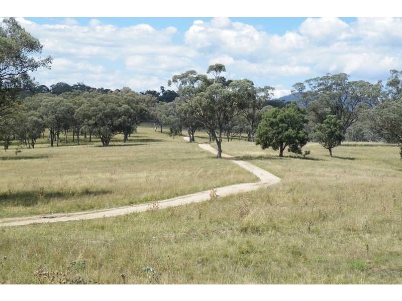 …. New England Hwy, Willow Tree NSW 2339