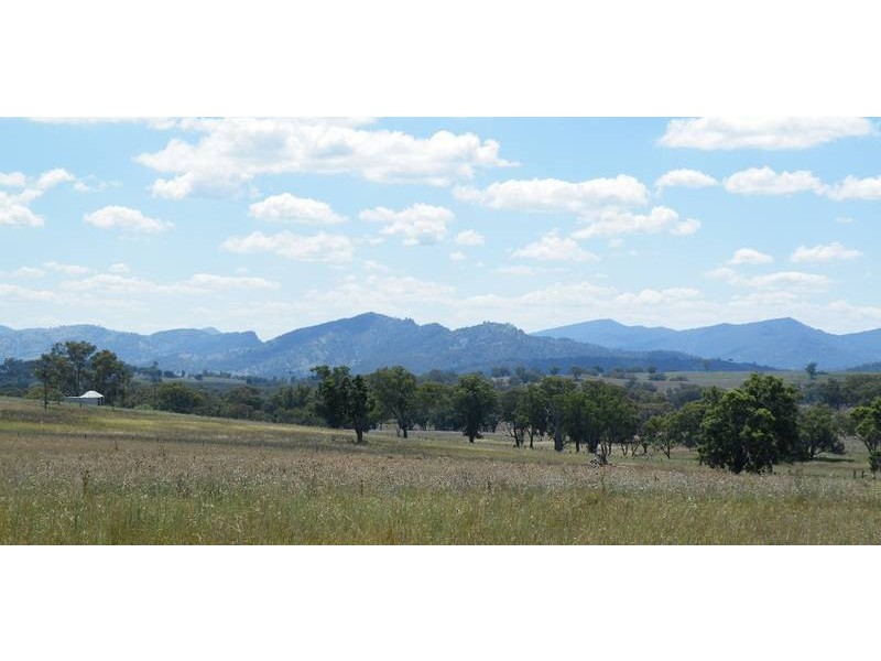 …. New England Hwy, Willow Tree NSW 2339