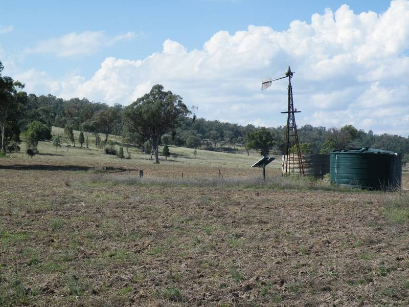 155 Paynes Road, Quirindi NSW 2343