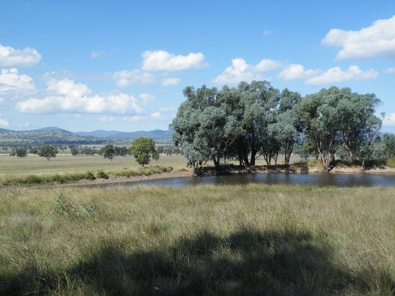 155 Paynes Road, Quirindi NSW 2343