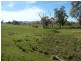 Lot 122, . Borah Creek Road, Quirindi NSW 2343