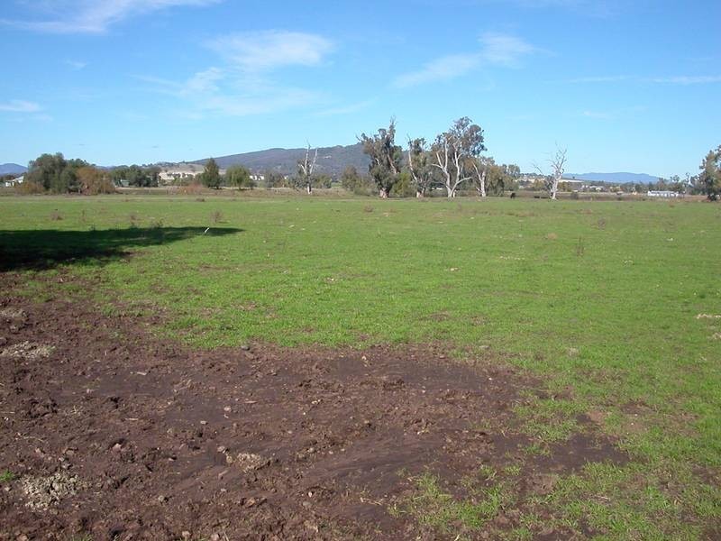 Lot 122, . Borah Creek Road, Quirindi NSW 2343