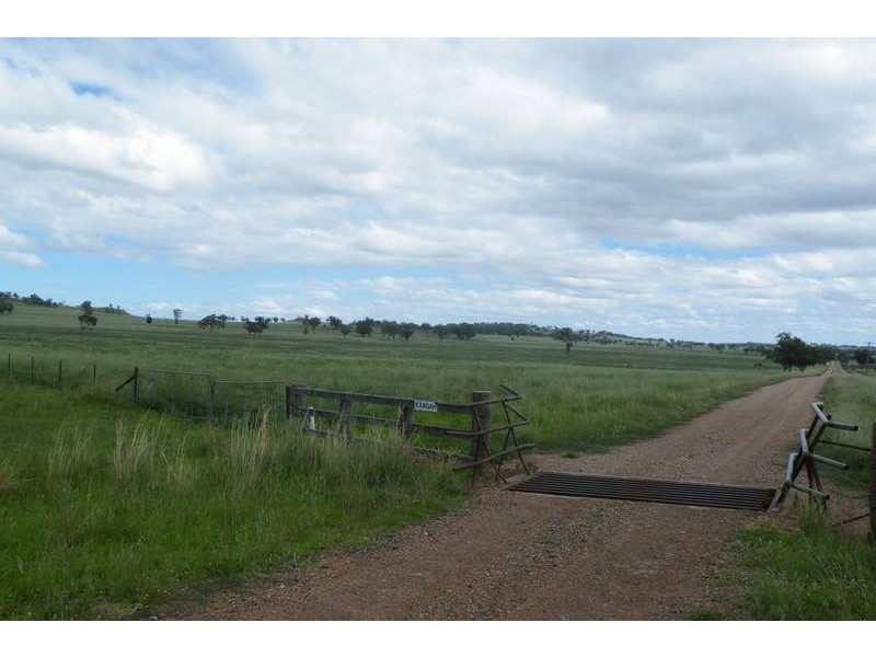.. Warrah Subdivision Road, Willow Tree NSW 2339