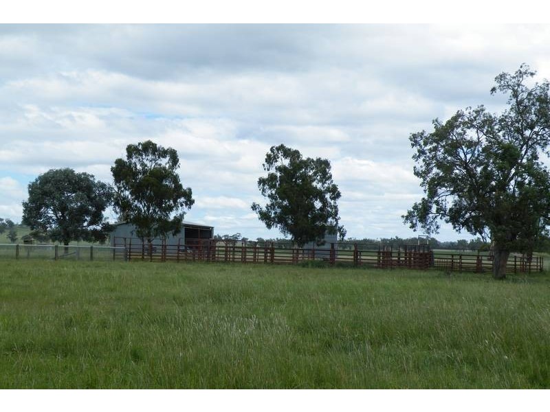 .. Warrah Subdivision Road, Willow Tree NSW 2339