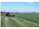 .. Warrah Subdivision Road, Willow Tree NSW 2339