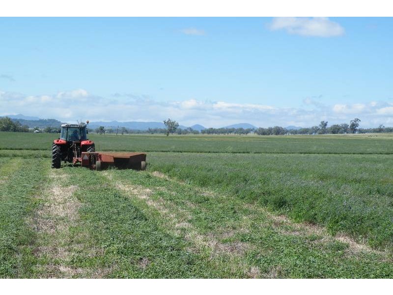 .. Warrah Subdivision Road, Willow Tree NSW 2339