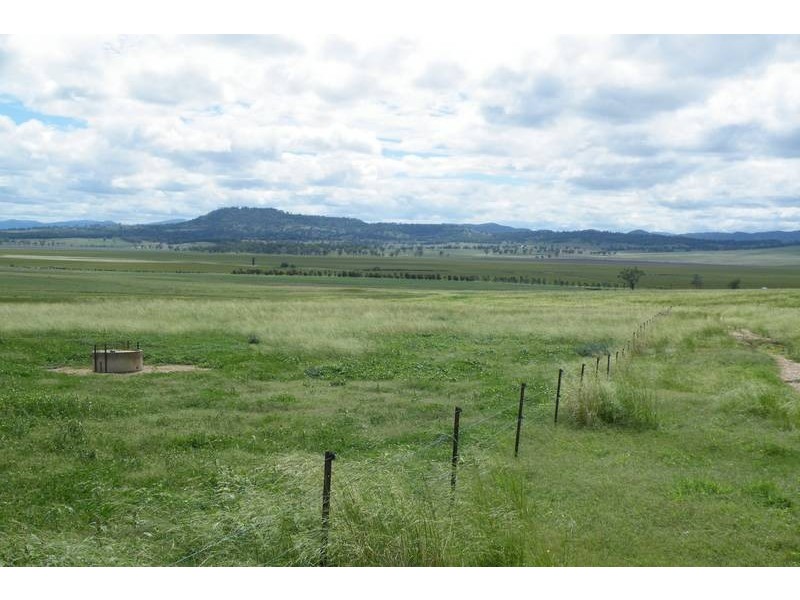 .. Warrah Subdivision Road, Willow Tree NSW 2339