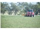 .. Warrah Subdivision Road, Willow Tree NSW 2339