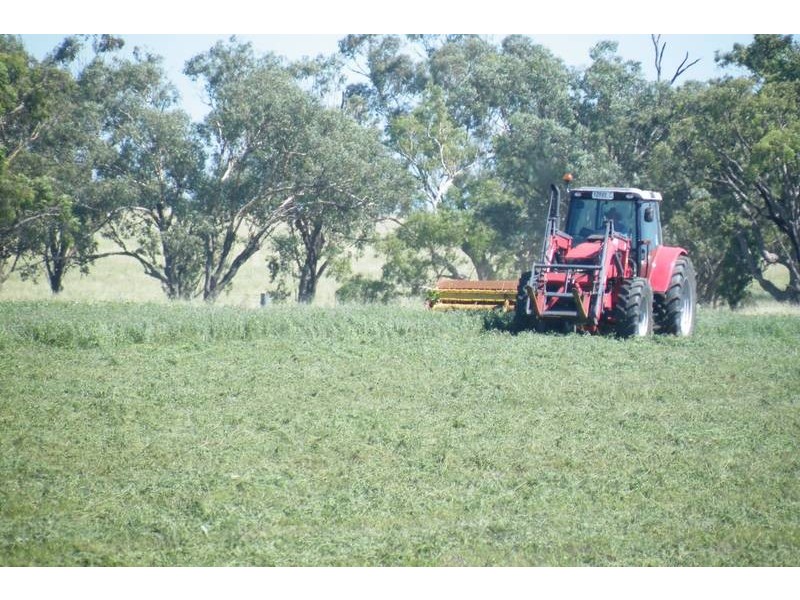 .. Warrah Subdivision Road, Willow Tree NSW 2339