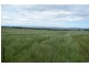 .. Warrah Subdivision Road, Willow Tree NSW 2339