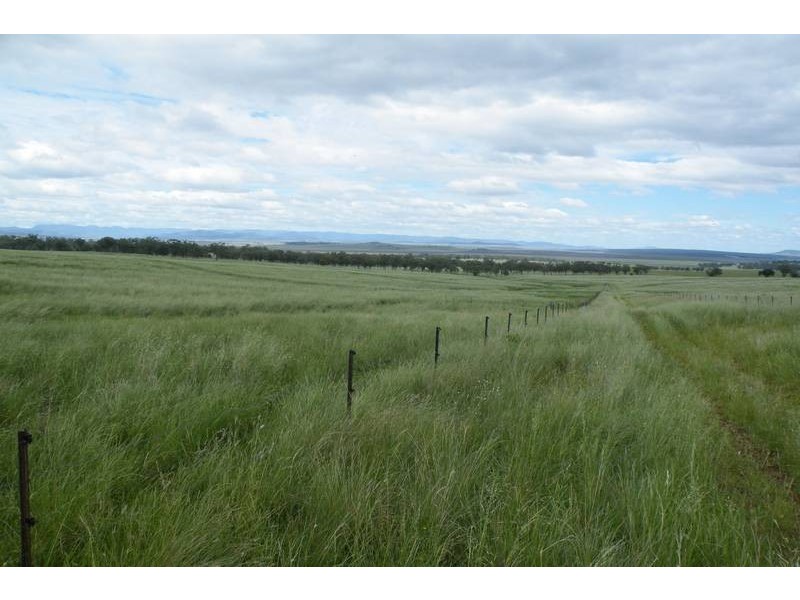 .. Warrah Subdivision Road, Willow Tree NSW 2339
