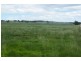 .. Warrah Subdivision Road, Willow Tree NSW 2339