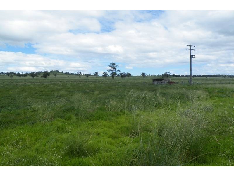.. Warrah Subdivision Road, Willow Tree NSW 2339